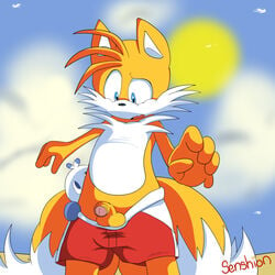 1boy anthro assisted_exposure balls blue_eyes canine clothes duo erection exposed exposed_balls exposed_penis fox fur furry furry_tail hero_chao male male_only mammal open_mouth outdoors pantsing penis public sega senshion shorts sonic_(series) sonic_the_hedgehog_(series) surprised tail tails tails_the_fox undressing