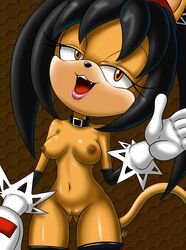 amber_eyes andersonicth anthro black_hair breasts collar fangs feline furry gloves honey_the_cat honeycombs pussy smile sonic_(series)