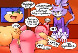 amy_rose anal anal_sex bitchy_rose blaze_the_cat blue_fur feline female furry hedgehog huge_cock male mammal penetration penis pussy sonic_(series) sonic_the_hedgehog sonic_the_hedgehog_(series) speech_bubble straight superbunnygt viktor2