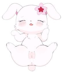 accessory anthro anus ass azuo blush cherry_blossom chest_tuft chibi closed_eyes cotton_tail female flower fur genitals hair_accessory hairclip hare hi_res japanese_hare jewelpet lagomorph leporid long_ears mammal open_mouth plant prunus_(flower) pussy rabbit ruby_(jewelpet) sanrio sega_fave simple_background solo spread_legs spreading thick_thighs tuft vulva white_body white_fur
