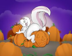 anthro anus ass duo fluffy fluffy_tail food fruit fur hi_res jack-o'-lantern male male/male mammal mephitid nude pink_anus pink_body pink_fur plant pumpkin raised_tail skunk skunk_tail tail thick_tail thr33y3dg0at trewni_(treewinder) white_body white_fur