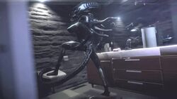 1girls 3d after_sex alien_(franchise) animated ass big_breasts black_skin breasts cum cum_in_pussy cum_inside dragon-v0942 feet female_only female_xenomorph leg_up no_sound solo spread_legs standing tail video xenomorph