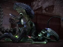 1boy 1boy1girl 1girls 3d alien alien_(franchise) alien_girl alien_only alien_vs_predator animated big_breasts black_skin breasts cavafly01 cum cum_on_breasts female female_xenomorph femsub huge_cock kneeling leg_grab male male/female male_xenomorph maledom missionary_position no_sound nude on_back open_mouth penis predalien predator_(franchise) pussy red_penis sex straight veins veiny_penis video what xenomorph