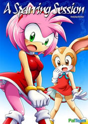 a_sparring_session amy_rose anthro bbmbbf blush brown_eyes clothing comic cover cover_page cream_the_rabbit dakina_(writer) duo female fur green_eyes mobius_unleashed palcomix panties pink_fur sonic_(series) tan_fur underwear upskirt