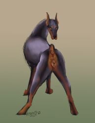 2024 anatomically_correct anatomically_correct_genitalia anatomically_correct_pussy animal_genitalia animal_pussy anus black_body black_fur canid canine canine_genitalia canine_pussy canis cropped_ears digital_drawing_(artwork) digital_media_(artwork) dobermann docked_tail domestic_dog female feral fur genitals gradient_background hi_res looking_at_viewer looking_back mammal pinscher presenting presenting_pussy pussy realistic_feral regsmutt scar short_tail simple_background solo tail tan_body tan_fur