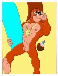 1boy 2007 balls donkey_kong_(series) erection funky_kong gay lowres male male_only muscular nipples penis poor_quality ramsey276 solo video_games yaoi