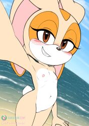 1girls 2025 5_fingers animal_ears anthro anthro_female anthro_only anthro_solo artist_name barely_visible_genitalia barely_visible_pussy beach bedroom_eyes blush blushing brown_eyes brown_nose bunny bunny_girl completely_naked completely_naked_anthro completely_naked_female completely_nude completely_nude_anthro completely_nude_female cotton_tail countershade_face countershade_torso countershading cream_the_rabbit cub day digital_drawing_(artwork) digital_media_(artwork) dipstick_ears eyelashes female female_cub female_only fingers flat_chest flat_chested floppy_ears fur furry furry_female furry_only gatomonlover genitals grin lagomorph leporid long_ears looking_at_viewer mammal mikitng mobian_(species) multicolored_body multicolored_ears multicolored_face multicolored_fur multicolored_skin naked naked_anthro naked_female naughty_face nipples nude nude_anthro nude_female orange_skin outdoors outside outstretched_arm partially_visible_vulva portrait pussy rabbit rabbit_ears rabbit_girl rabbit_tail scut_tail seductive seductive_look seductive_smile sega short_tail sky small_breasts smile smiling_at_viewer solo solo_anthro solo_female sonic_(series) sonic_team sonic_the_hedgehog_(series) standing tail tan_body tan_fur tan_skin thighs three-quarter_portrait two-tone_body two-tone_ears two-tone_fur two-tone_skin two_tone_body two_tone_ears two_tone_fur two_tone_skin url video_games water white_body white_countershading white_fur white_skin white_tail young young_anthro young_female