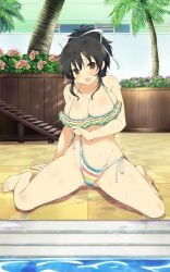 asuka (senran kagura) from senran kagura by yaegashi nan