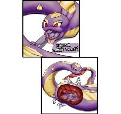 after_vore alpha_channel digestion female generation_3_pokemon hi_res internal larger_female male mammal nintendo oral_vore poisonsneksoffie pokemon pokemon_(species) procyonid raccoon reptile scalie seviper size_difference smaller_male smile smirk snake vore