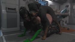 1girls 3d 3d_animation all_fours animated blender blender_(software) canine_genitalia canine_penis dog(s) doggy_style elbow_gloves freyna freyna_leofwin gloves mask p4ants tagme the_first_descendant ultimate_freyna vaginal_penetration video wet wet_body wet_skin zoophilia