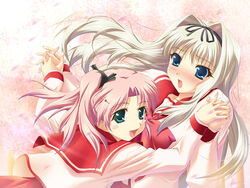 2girls :o blue_eyes blush blush_stickers cherry_blossoms clothing female female_only hair_ornament hair_ribbon hairband hairclip hand_holding holding_hands kusugawa_sasara long_hair maaryan multiple_girls open_mouth petals pink_hair ribbon school_uniform serafuku short_hair side_ponytail signature to_heart_(series) to_heart_2 watase_kaoru white_hair