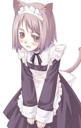 animal_ears cat_ears maid nyaou original