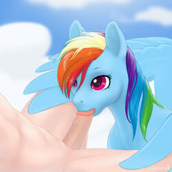 2016 arareroll cloud duo equine fellatio fellatio_from_feral female feral friendship_is_magic hair human human_on_feral human_penetrating interspecies male male_human/female_feral male_on_feral mammal multicolored_hair my_little_pony oral outside pegasus penis rainbow_dash_(mlp) rainbow_hair sex solo_focus wings zoophilia