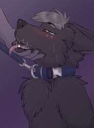 anthro black_fur blush canine collar duo fur gay grey_hair hair leash lunar_epitaph male male_only mammal messy orange_eyes petplay precum roleplay simple_background sweat tongue tongue_out yaoi