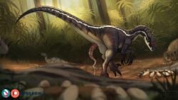 16:9 black_claws black_markings brown_body brown_scales claws cloacal_penis dinosaur dromaeosaurid erection feral forest forest_background genitals group hi_res male markings moonski nature nature_background penis pink_penis plant prehistoric_species reptile scales scalie solo_focus theropod tree velociraptor white_body white_markings white_scales widescreen