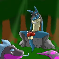 anthro blue_eyes duo forest grin hi_res knot kotetsu_rexen lionel lucario male male_focus male_only nintendo penis pokemon pokemon_(species) presenting spread_legs spreading tree video_games