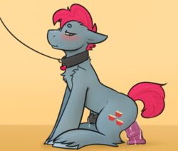 1boy anal apple_split_(mlp) collar dildo dildo_sitting feral leash male male_anal male_only my_little_pony penetration penis precum sex_toy simple_background solo thatdoodlingpony toy