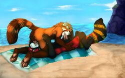 2016 4_toes 5_fingers 69_position anthro balls beach closed_eyes cum cum_in_mouth cum_inside duo erection eyewear fellatio fur goggles male mammal multicolored_fur nude oral orgasm penis raised_tail red_panda seaside sex toes water yaoi yosha