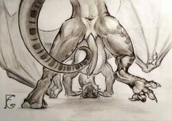 animal_genitalia anus ass_up butt dragon erection felangrey feral genital_slit genitals hi_res hondra looking_at_viewer male mythological_creature mythological_scalie mythology pawpads presenting presenting_anus raised_tail scalie solo tail