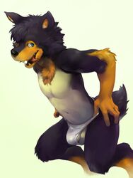 1boy 2016 anthro balls black_fur black_nose blue_eyes brown_fur bulge canine chest_tuft clothed clothing crossdressing flaccid fur hair_tuft hand_on_hip looking_away male male_only mammal multicolored_fur navel open_mouth orange_fur panties panty_pull pecs penis simple_background solo teeth tongue tongue_out topless tuft underwear vu06 white_background white_fur