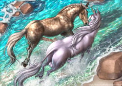 animal_genitalia animal_penis anus balls beach blue_eyes brown_body brown_fur butt duo equid equine equine_genitalia equine_penis erection feral fur genitals hi_res hooves horn horse looking_at_another male male/male mammal mane markings mythological_creature mythological_equine mythology partially_submerged penis quadruped rail rock rufciu shaded splash spots spotted_body spotted_fur text unguligrade unicorn url water white_body white_fur white_mane