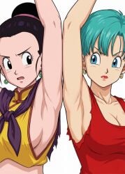 bulma briefs from dragon ball