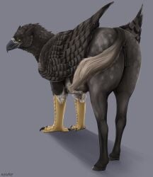 absurd_res animal_genitalia animal_vulva anus avian beak black_body black_claws black_fur butt claws equine_anus equine_genitalia equine_vulva european_mythology feet female feral fur genitals greek_mythology grey_body grey_fur hi_res hippogriff kehreazerith looking_at_viewer mythological_avian mythological_creature mythology presenting puffy_anus solo talons toes vulva yellow_eyes