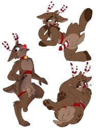 amber_eyes animal_genitalia animal_penis anthro antlers balls bell bell_collar blush blushcrunch_studio brown_body brown_fur butt christmas collar dandy's_world deer digital_drawing_(artwork) digital_media_(artwork) digitigrade equid erection feet foot_focus fur genitals harness hi_res holidays hooves horn jingle_bell jingle_bell_collar knot knotted_penis lidded_eyes looeylover69 male mammal markings nude open_mouth pale_fur pawpads paws penis raised_leg raised_tail red_nose roblox rudie_(dandy's_world) scut_tail sheath short_tail simple_background smile solo spots spotted_body spotted_fur spread_legs spreading tail tongue tongue_out toon_(dandy's_world)