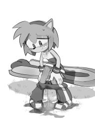 1girls amy_rose blush bodily_fluids embarrassed extreme_gear grass monochrome outdoors pants_down pee_stain peeing peeing_self pinklilim pussy soaked_clothes sonic_(series) sonic_riders sonic_the_hedgehog_(series) wet_pants wetting_self