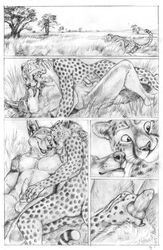 anthro blotch canine cheetah comic feline fur jackal kissing knot male_only mammal masturbation nude penis