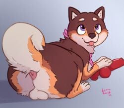 absurd_res animal_dildo animal_sex_toy anus balls blep brown_body brown_fur butt canid canine canine_dildo canis clothed clothed_feral clothing curled_tail dildo domestic_dog feral fur genitals hi_res kerchief kettukarkki looking_back looking_up lying male male_feral mammal neckerchief neckwear on_front on_ground pink_anus presenting presenting_hindquarters purple_eyes raised_tail rear_view sex_toy shiba_inu simple_background solo spitz tail tongue tongue_out unnamed_character_(kettukarkki) white_body white_fur yellow_body yellow_fur