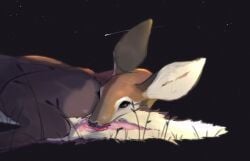 anatomically_correct anatomically_correct_genitalia anatomically_correct_vulva anus barn-owl_(artist) bodily_fluids brown_body brown_eyes brown_fur butt deer female feral fur genitals hi_res mammal penis pink_anus pink_penis raised_tail red_tongue saliva solo tail tongue vulva white_body white_fur