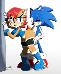 2016 absurd_res anthro big_breasts breasts chipmunk duo female furry hedgehog male mammal penetration rodent sally_acorn sandunky sex simple_background sonic_(series) sonic_the_hedgehog sonic_the_hedgehog_(archie) sonic_the_hedgehog_(comics) sonic_the_hedgehog_(series) standing white_background