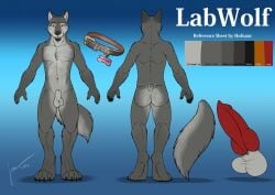 2016 animal_genitalia animal_penis anthro balls black_nose butt canid canine canine_genitalia canine_penis canis collar color_swatch dated erection front_view fully_sheathed fur genitals grey_body grey_fur grey_tail hufnaar labwolf looking_at_viewer male male_anthro mammal model_sheet mouth_closed navel nude orange_eyes penis rear_view red_penis sheath signature slim_anthro slim_male solo standing tail white_balls white_body white_fur white_sheath white_tail wolf