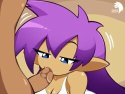 shantae (character) from shantae by insane okamy