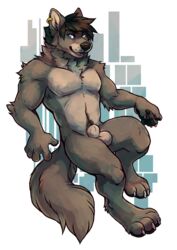 1boy 2016 abstract_background alpha_channel animal_genitalia anthro balls black_hair blue_eyes canine cherrybox dravu ear_piercing fully_sheathed fur grey_fur hair looking_at_viewer male male_only mammal muscular neck_tuft nude piercing sheath solo tuft wolf