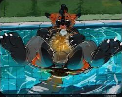 absurd_res anthro belly big_belly bodily_fluids bulge canid canine filled_belly fox genital_fluids hi_res inflatable male mammal null pool_toy solo squish streched swimming_pool urine urine_from_ass urine_from_mouth urine_in_mouth watersports