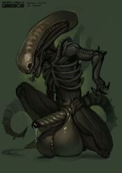 male xenomorph from alien (franchise) by orfiarts