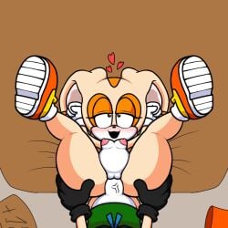 cream the rabbit from sega