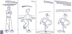 2023 absurd_res angry avian beak big_breasts bird bottomwear breast_growth breasts busty_feral clothing crossed_arms daniel_kay dialogue digital_media_(artwork) egg egg_laying embarrassed english_text female feral flamingo footwear gender_transformation growth hi_res huge_breasts human human_to_feral male mammal mtf_transformation naked nipples nude offscreen_character on_one_leg open_mouth pants sequence shoes simple_background solo species_transformation standing surprised text transformation transformation_ring
