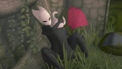 Hollow Knight (Franchise) Rule 34 Video