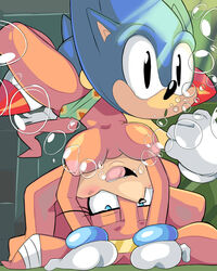 anthro balls big_breasts blue_eyes blush breasts clothed clothing cloudz dead death drowned drowning duo echidna female furry hedgehog male mammal monotreme nipples nude penetration sega sex sonic_(series) sonic_1 sonic_the_hedgehog sonic_the_hedgehog_(series) spread_legs spreading straight tikal_the_echidna topless underwater underwater_sex water what