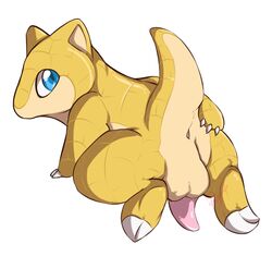 1boy anus ass backsack balls blue_eyes claws feral looking_back male male_only mammal nintendo penis pokémon_(species) pokemon pokemon_(species) presenting presenting_anus presenting_hindquarters royale_(artist) sandshrew simple_background solo video_games white_background