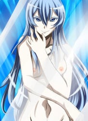 1girls akame_ga_kill! edit esdeath_(akame_ga_kill!) female female_only nekomate14_edited pale-skinned_female pale_skin solo tagme