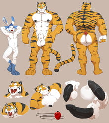 anthro balls feline grisser lagomorph male male_only mammal muscular partran partran_(character) partran_(tiger) penis rabbit tiger