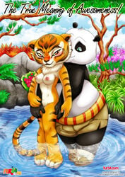 bbmbbf bear breasts comic dreamworks duo feline female humanoid kung_fu_panda kung_fu_panda_legends_of_awesomeness male mammal master_po_ping master_tigress nickelodeon nude palcomix panda pussy tiger