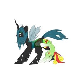 2016 anal_vore aquestionableponyblog duo fan_character female feral friendship_is_magic internal male mango_tango my_little_pony queen_chrysalis_(mlp) straight stuck vore