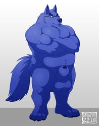 1boy 2016 4_toes animal_genitalia animal_penis anthro balls belly biceps big_balls big_belly blue_eyes blue_fur blue_nose blue_penis canine canine_penis claws crossed_arms eyewear front_view fur glasses hi_res huge_balls looking_at_viewer male male_only mammal musclegut muscular muscular_male nude pecs penis penis_tip sheath simple_background skaifox solo standing toe_claws toes watermark wolf