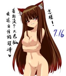 1girl animal_ear_fluff animal_ears arms_under_breasts borrowed_character breasts brown_hair brown_pubic_hair cat_ears cat_girl chinese_text commentary_request completely_nude cowboy_shot enoko_(zqfebi) female_pubic_hair grin highres inverted_nipples long_hair looking_at_viewer medium_breasts nipples nude original pubic_hair pussy red_eyes simple_background slit_pupils smile solo translation_request very_long_hair white_background