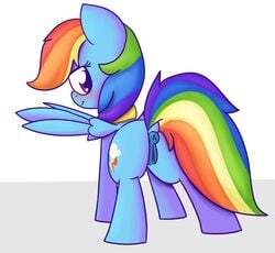 anus blush equine female feral friendship_is_magic hair looking_back mammal mr-degration multicolored_hair my_little_pony pegasus pussy rainbow_dash_(mlp) solo wings